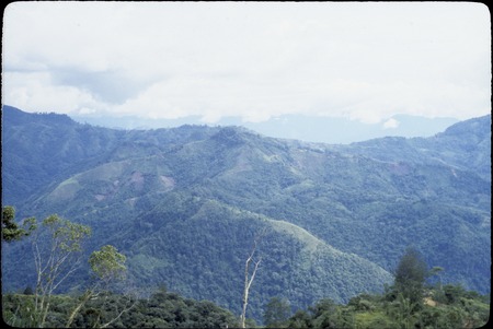 Jimi River area, panoramic view 03: mountains and gardens