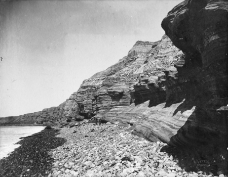 Cliffs, Pacific Beach, looking north. Pliocene strata fossil shells. 1906