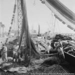 Fishing nets piled on Embarcadero near docked tuna boat Starcrest, Library  Digital Collections