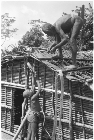 Bataafuna (and Bataafuna Sika&#39;u) putting layered leaves on roof of new house and binding it down with bamboo.