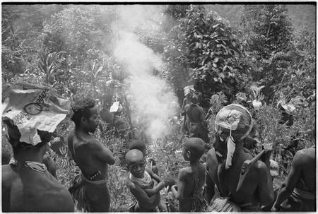 Pig festival, stake-planting, Tuguma: men plant stakes and cordyline at enemy boundary