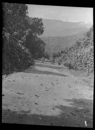 Road to Kavieng, near Katendan, New Ireland