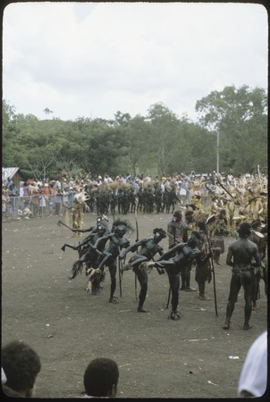 Port Moresby show: dancers with blackened skins dance with axes and spears