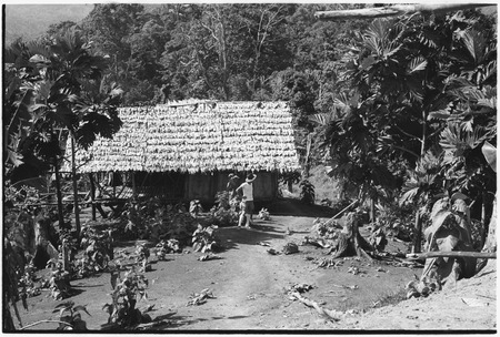 Sengru-Sengru, Wanuma Census Division: house and garden, Pete Vayda