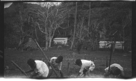 School boys with digging sticks, outhouses in background