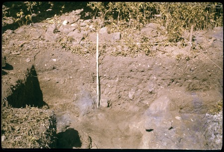 Vaiohu&#39;a archaeological excavation, Moorea: southeast quadrant, south wall