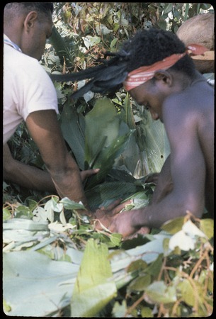 Food preparation: Noma and Kavali placing leaf-wrapped bundles of food in above-ground oven