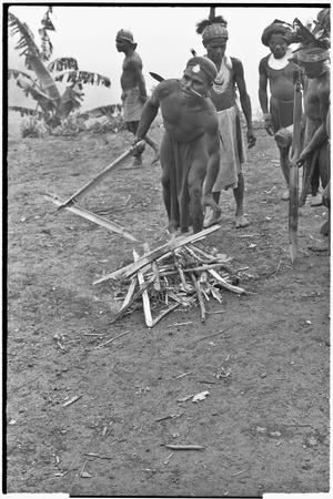 Pig festival, stake-planting, Tuguma: heated bamboo explodes, indicating time for Tsembaga men to leave for Tuguma