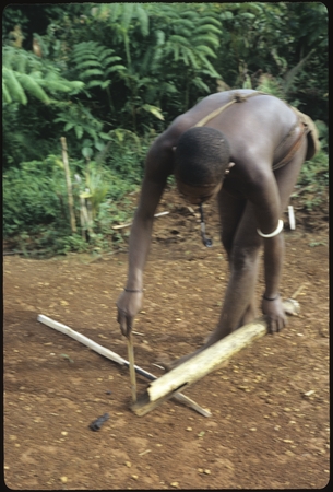 A woman picks up pig droppings in the clearing with a bamboo.