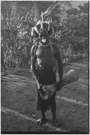Pig festival, singsing, Tsembaga: decorated man in headdress carries kundu drum