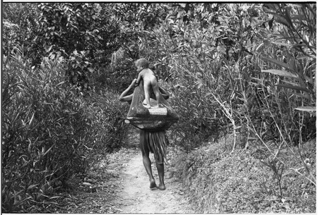 Young child stands on firewood carried in netbag by a woman