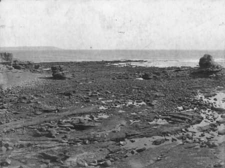 Bird Rock collecting ground at low tide. La Jolla, 1906
