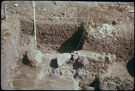 Vaiohu&#39;a archaeological excavation, Moorea: west wall, bulk of southwest quadrant