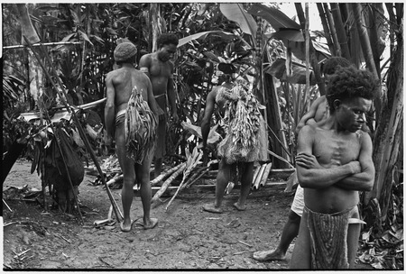 Pig festival, stake-planting, Tuguma: men with stakes, bamboo and cordyline for boundary ritual