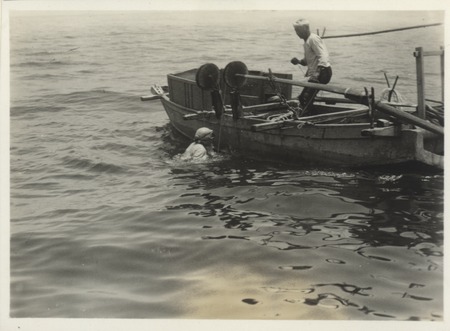 Man on boat winching in seaweed gathered by female diver, with seaweed destined for agar production. Japan, c1947.