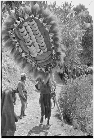 Bride price ritual: man carries payment banner of feather and shell valuables, followed by others from the groom&#39;s group
