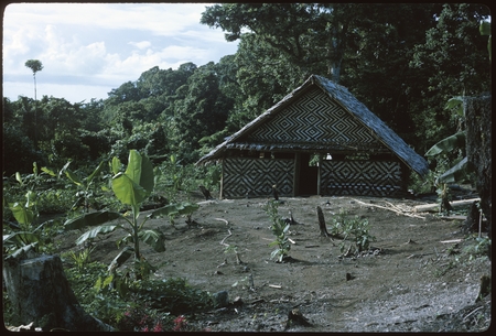Kastom house at Ngarinaasuru.