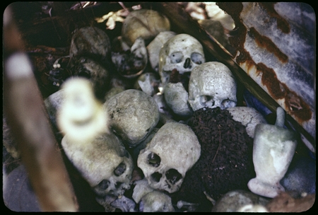 Shrine with group of skulls