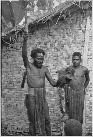 Returned laborers, purification ritual: luluai sacrifices a chicken to the ancestors in ritual to reintegrate returnees