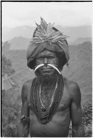 Pig festival, uprooting cordyline ritual: man with feather valuables, shell nose ornaments, other finery