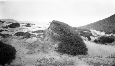 Mantled dune knob, or knobbed dune, near El Rosario