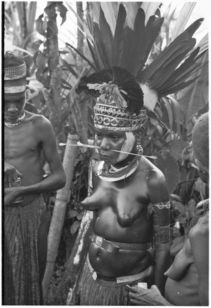 Bride price ritual: woman with oiled skin and face paint, wears feather and marsupial fur headdress, shell valuables