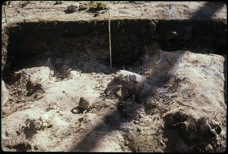 Hauiti archaeological excavation, Moorea: X49
