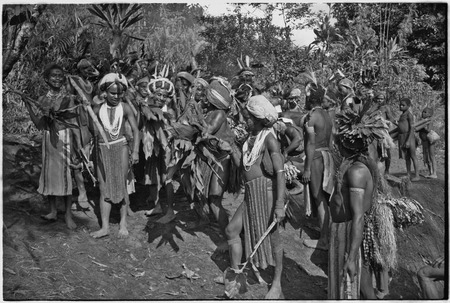 Pig festival, stake-planting, Tuguma: decorated Tsembaga men with ritual items to expel enemy spirits and establish boundary
