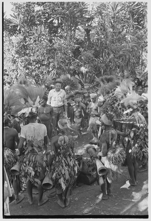 Bride price for Mitsi: decorated members of the groom&#39;s group dance in the bride&#39;s village, Edwin Cook observes