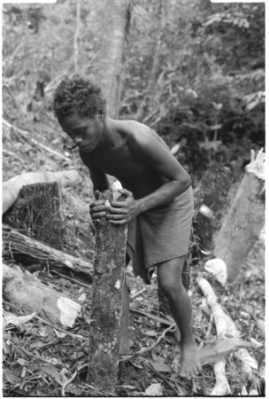 &#39;Elota&#39;s younger son Ngadaaga&#39;e plants stakes for a garden fence.