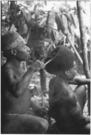 Pig festival, wig ritual, Tsembaga: man uses arrow point to apply sap to wig, hardening it
