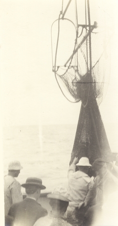 Hoisting a trawl net on U.S. Fisheries steamer Albatross. March 1904.