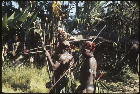 Bride price for Aina: husband&#39;s kin approach with spears, bows, and arrows displayed