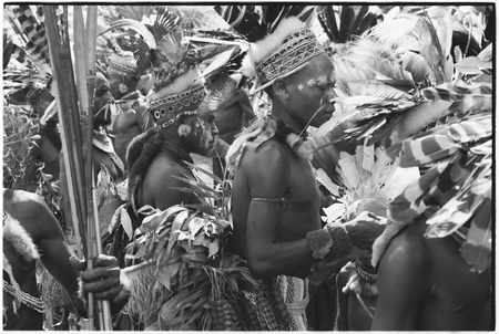 Pig festival, singsing, Kwiop: decorated men with feather headdresses dance with kundu drums