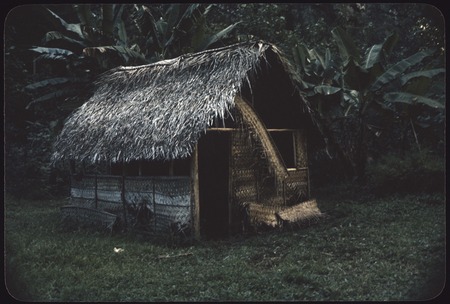 Thatched house in disrepair, Orofere Valley. Tahiti