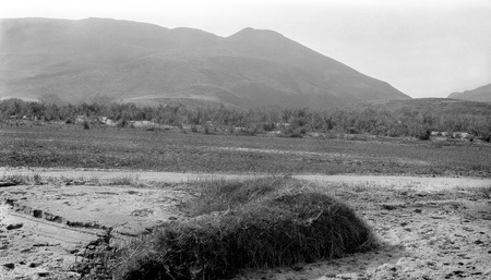 In San Miguel Valley near the hot springs location, a sod mound stipped from the ground during high waters and piled up