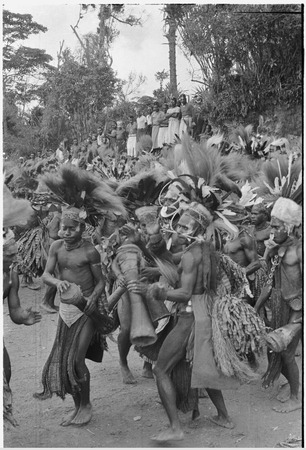 Pig festival, singsing: decorated men dance with kundu drums, watched by crowd