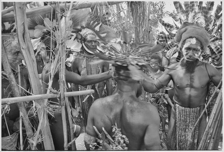 Pig festival, uprooting cordyline ritual: decorated men prepare to take ritual items to clan boundary