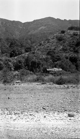 Old cottage with grapevine in the Descanso Valley