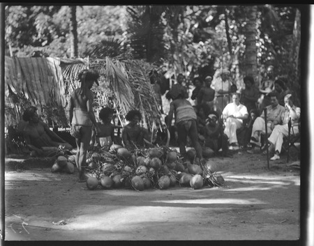 Group of men working with pile of coconuts, European men observing in the back