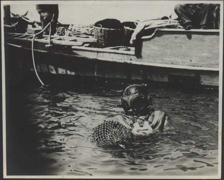 Helmet diving for seaweed. Japan, c1947