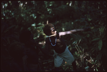 Fa&#39;angasi throws reed spears at tree target.