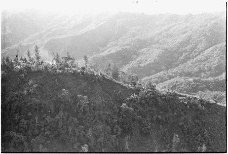 Trail and smoke, probably a garden plot being prepared, aerial view