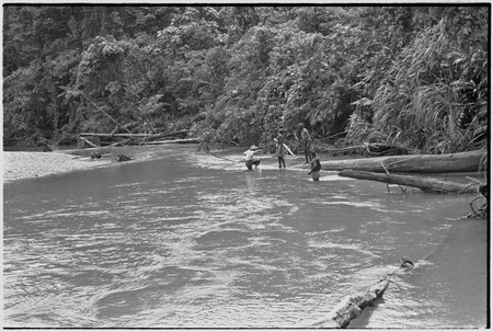 Schrader Range: carriers and Ann Rappaport cross Anjimamp River on Korumbon-Ambaiat trail