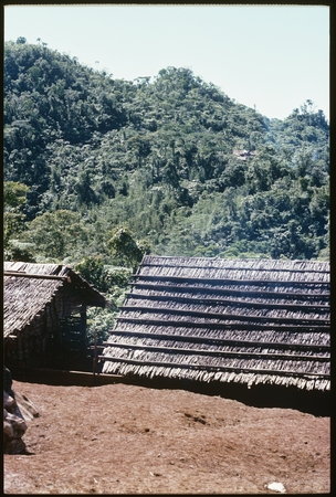 Shelters for pigs, and hillside with hamlet in background.