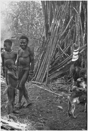 Pig festival, pig sacrifice, Kwiop: dead cassowary with shell valuables, symbolizes ancestors
