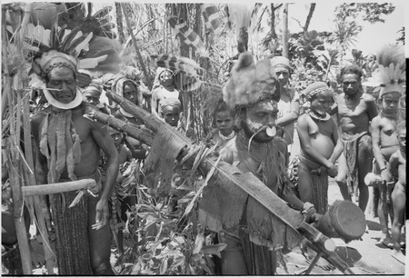 Pig festival, uprooting cordyline ritual: man holds bespelled stakes wrapped in banana leaves, to be planted at clan boundary