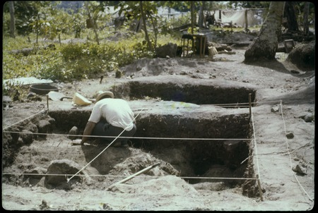 Hauiti archaeological excavation, Moorea: X49 and X50