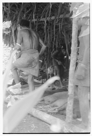 Taualea, feasting shelter, ritual.