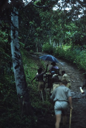 Jimi River area, men carry Nancy Cook from Tabibuga to Kwiop, followed by John Bradbury (Cadet Patrol Officer)